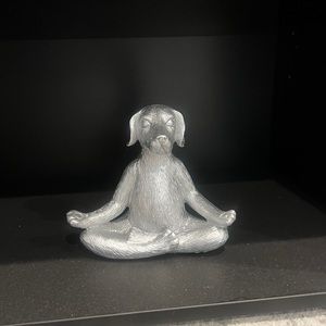 Meditating Dog